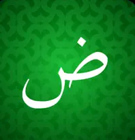 تعلم اللغة العربية للمبتدئين