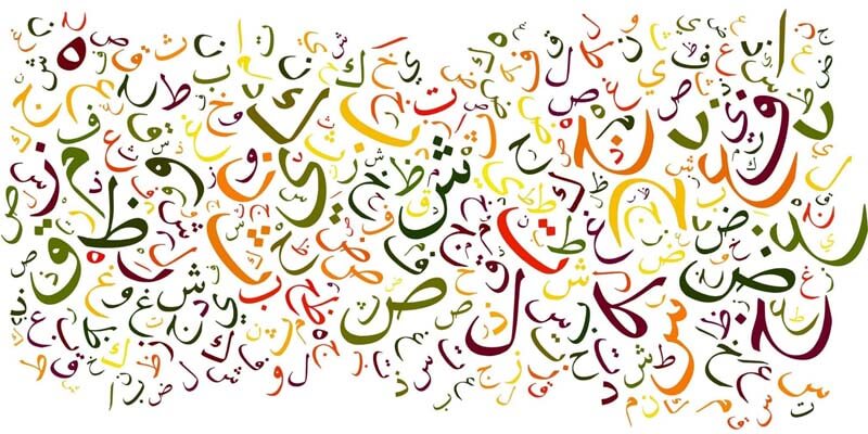 تطور اللغة في العلوم اللغوية العربية