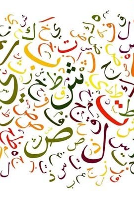 تطور اللغة في العلوم اللغوية العربية